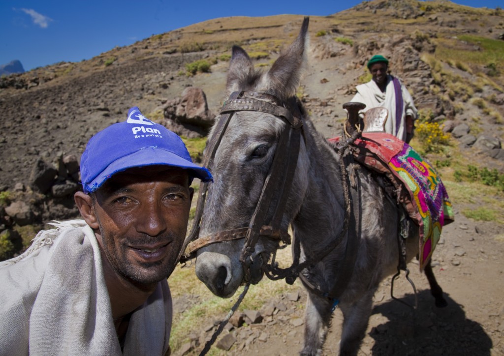 ethiopia mule