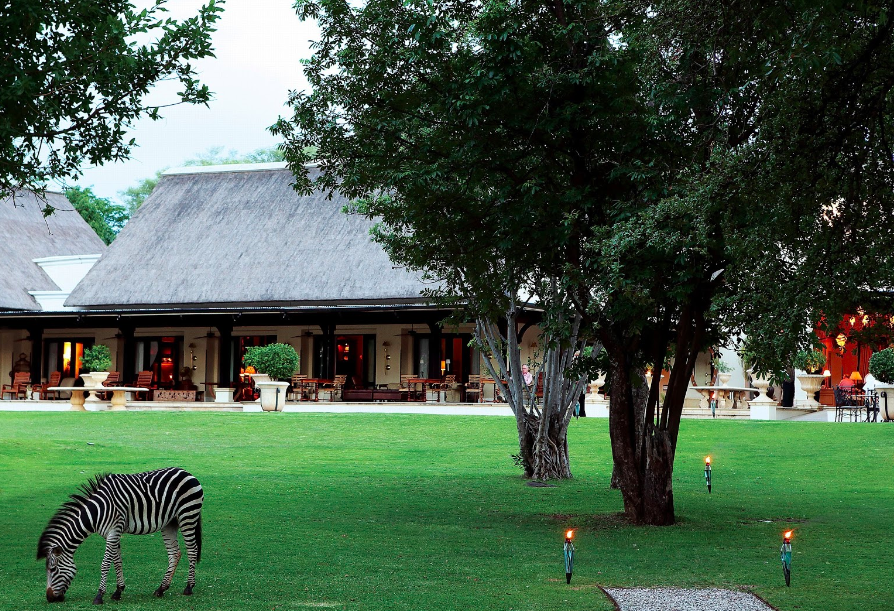 royal-livingstone-hotel-zambia-zebra